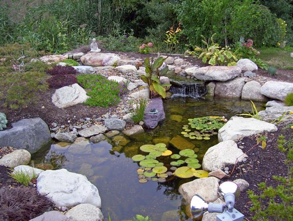 Ecosystem Ponds